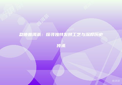 勐傣普洱茶：探寻独特发酵工艺与深厚历史传承