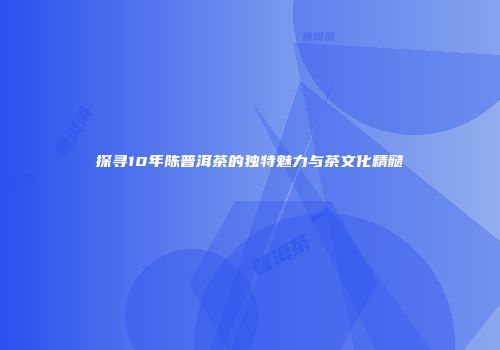 探寻10年陈普洱茶的独特魅力与茶文化精髓