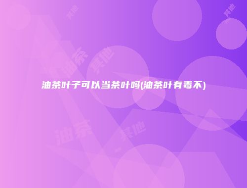 油茶叶子可以当茶叶吗(油茶叶有毒不)