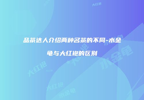 品茶达人介绍两种名茶的不同-水金龟与大红袍的区别