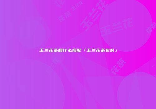 玉兰花茶和什么搭配「玉兰花茶包装」
