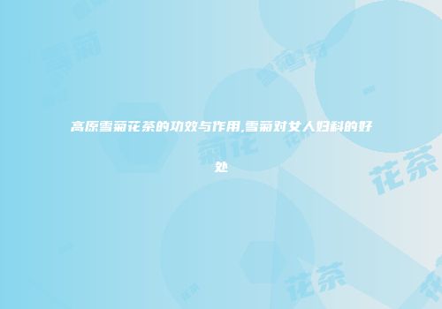 高原雪菊花茶的功效与作用,雪菊对女人妇科的好处