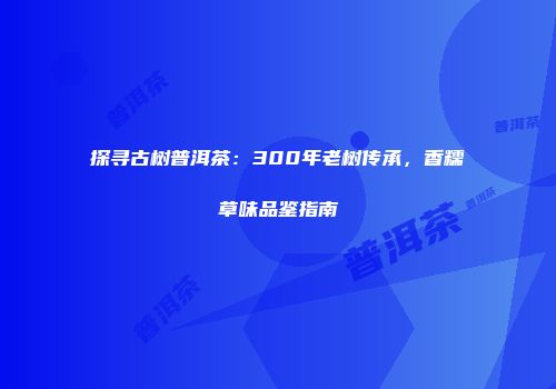 探寻古树普洱茶：300年老树传承，香糯草味品鉴指南