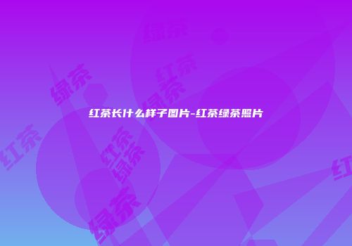 红茶长什么样子图片-红茶绿茶照片