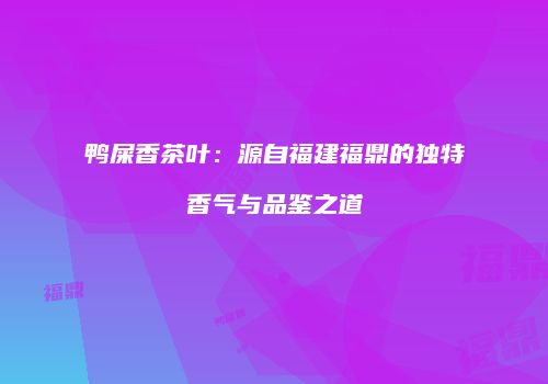 鸭屎香茶叶：源自福建福鼎的独特香气与品鉴之道