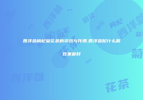 西洋参枸杞菊花茶的功效与作用,西洋参配什么喝效果最好