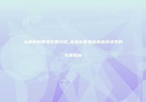 从栽种到管理全面介绍_茶农必看提高茶苗成活率的关键措施