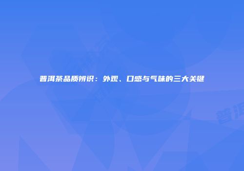 普洱茶品质辨识：外观、口感与气味的三大关键