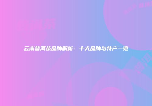 云南普洱茶品牌解析：十大品牌与特产一览
