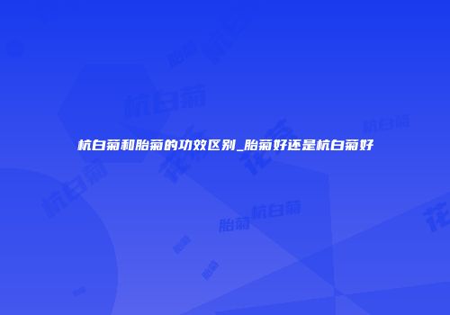 杭白菊和胎菊的功效区别_胎菊好还是杭白菊好