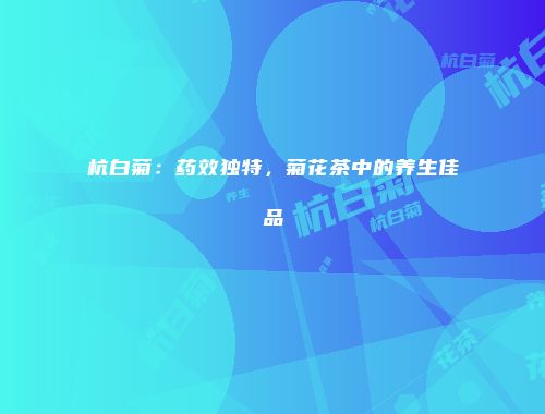 杭白菊：药效独特，菊花茶中的养生佳品
