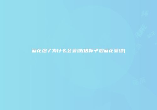 菊花泡了为什么会变绿(银杯子泡菊花变绿)