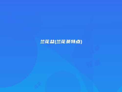 兰花盆(兰花茶特点)