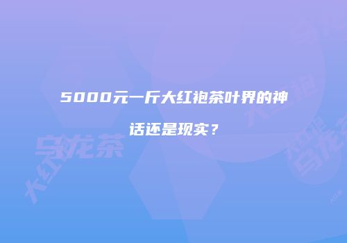 5000元一斤大红袍茶叶界的神话还是现实？