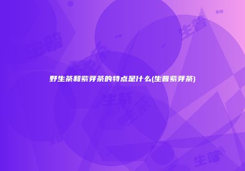 野生茶和紫芽茶的特点是什么(生普紫芽茶)