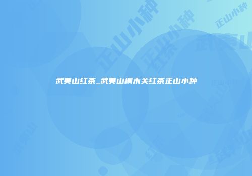 武夷山红茶_武夷山桐木关红茶正山小种