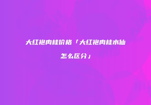 大红袍肉桂价格「大红袍肉桂水仙怎么区分」