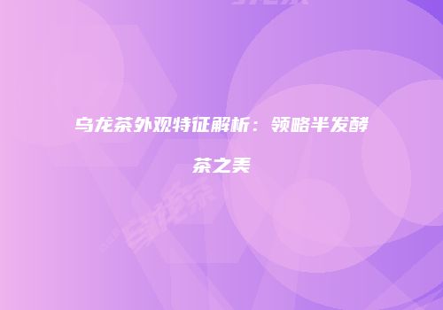乌龙茶外观特征解析：领略半发酵茶之美