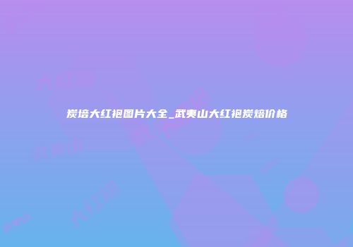 炭培大红袍图片大全_武夷山大红袍炭焙价格