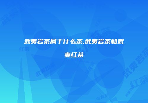 武夷岩茶属于什么茶,武夷岩茶和武夷红茶
