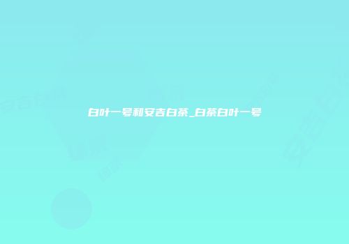 白叶一号和安吉白茶_白茶白叶一号