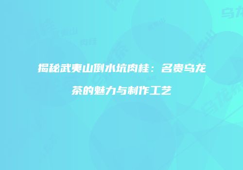 揭秘武夷山倒水坑肉桂：名贵乌龙茶的魅力与制作工艺