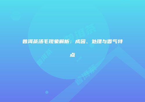 普洱茶汤毛现象解析：成因、处理与香气特点