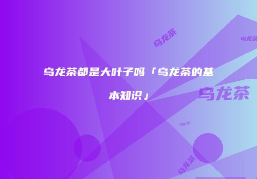 乌龙茶都是大叶子吗「乌龙茶的基本知识」