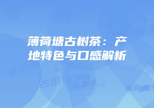薄荷塘古树茶：产地特色与口感解析