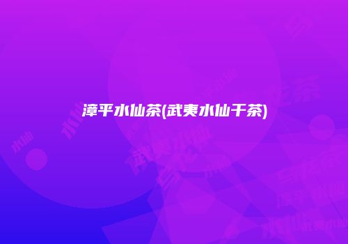 漳平水仙茶(武夷水仙干茶)