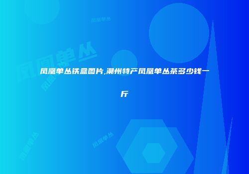 凤凰单丛铁盒图片,潮州特产凤凰单丛茶多少钱一斤