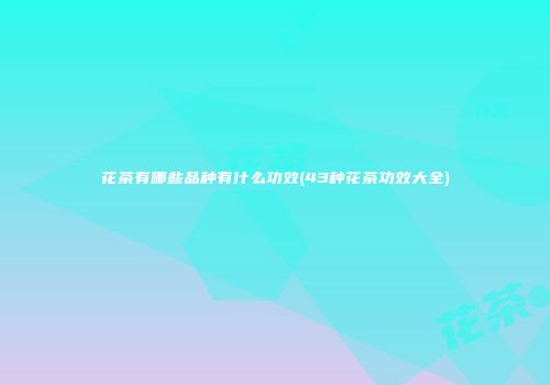 花茶有哪些品种有什么功效(43种花茶功效大全)