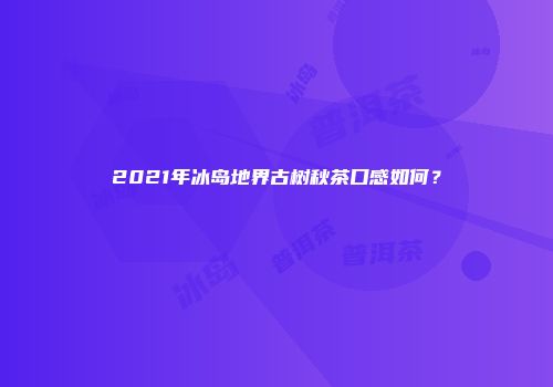 2021年冰岛地界古树秋茶口感如何？