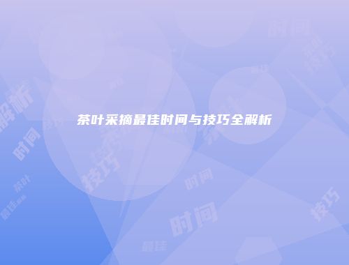 茶叶采摘最佳时间与技巧全解析