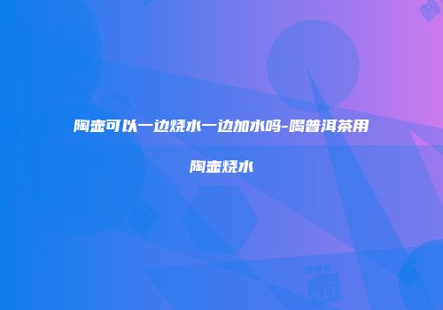 陶壶可以一边烧水一边加水吗-喝普洱茶用陶壶烧水