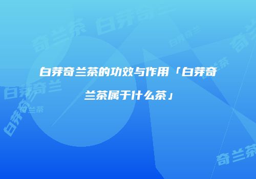 白芽奇兰茶的功效与作用「白芽奇兰茶属于什么茶」