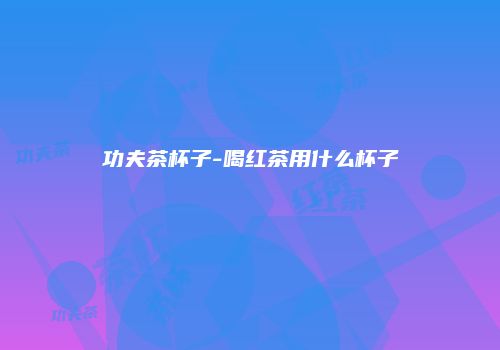 功夫茶杯子-喝红茶用什么杯子