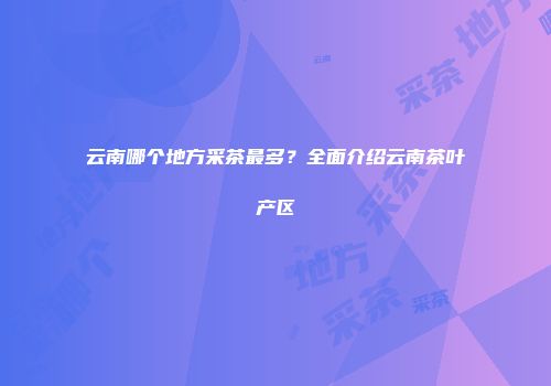 云南哪个地方采茶最多？全面介绍云南茶叶产区