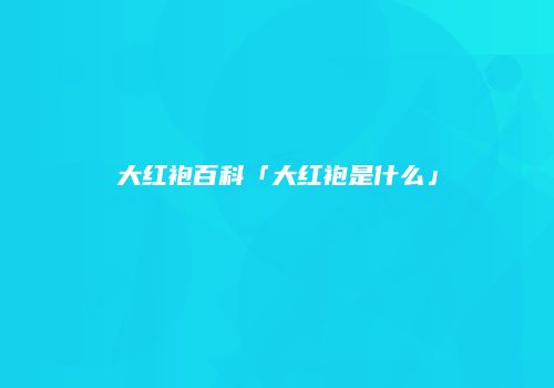 大红袍百科「大红袍是什么」