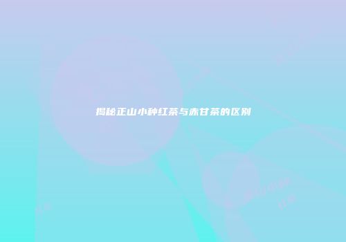 揭秘正山小种红茶与赤甘茶的区别