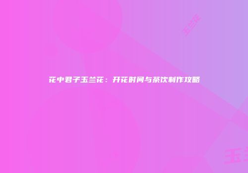 花中君子玉兰花：开花时间与茶饮制作攻略