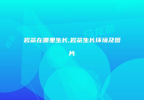 岩茶在哪里生长,岩茶生长环境及图片