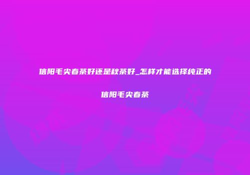 信阳毛尖春茶好还是秋茶好_怎样才能选择纯正的信阳毛尖春茶