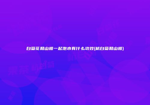 白菊花和山楂一起泡水有什么功效(杭白菊和山楂)