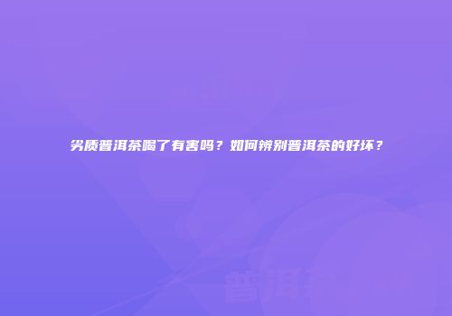 劣质普洱茶喝了有害吗？如何辨别普洱茶的好坏？
