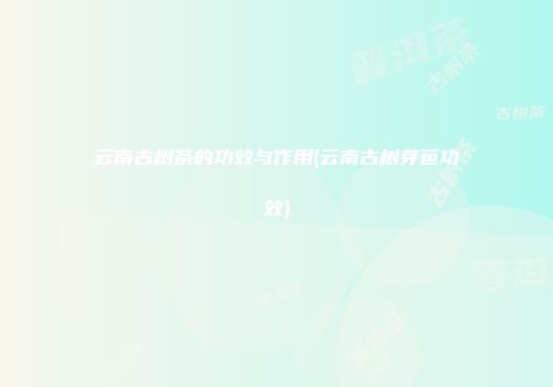 云南古树茶的功效与作用(云南古树芽苞功效)