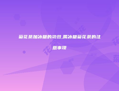 菊花茶加冰糖的功效,喝冰糖菊花茶的注意事项