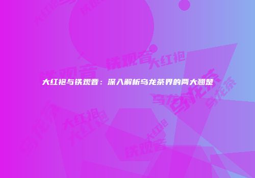 大红袍与铁观音：深入解析乌龙茶界的两大翘楚