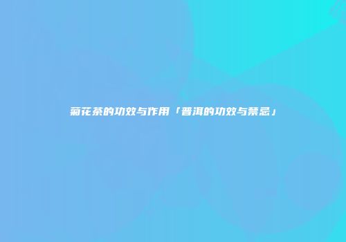 菊花茶的功效与作用「普洱的功效与禁忌」