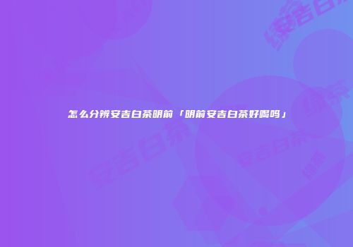 怎么分辨安吉白茶明前「明前安吉白茶好喝吗」